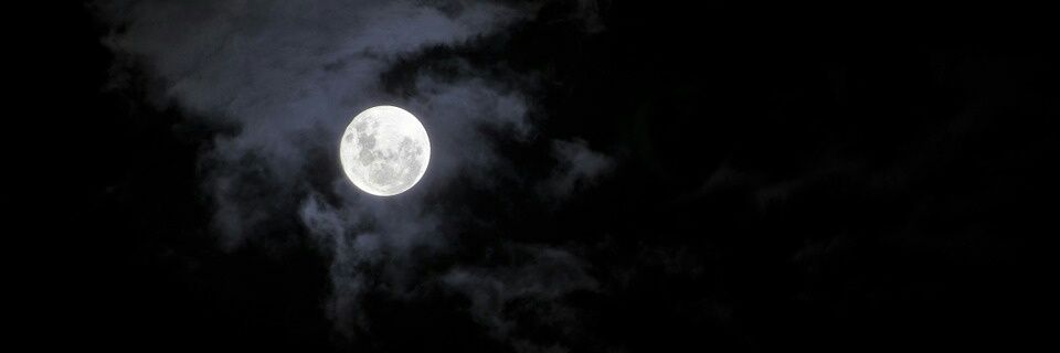Alexa_bhn's profile banner image