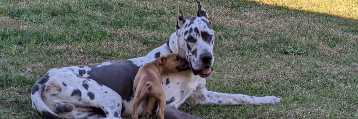 Stankonia_404's profile banner image