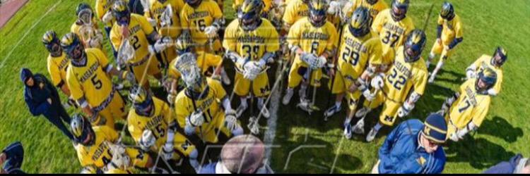Tim Ley banner