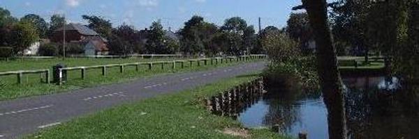 WBFNDP Profile Banner