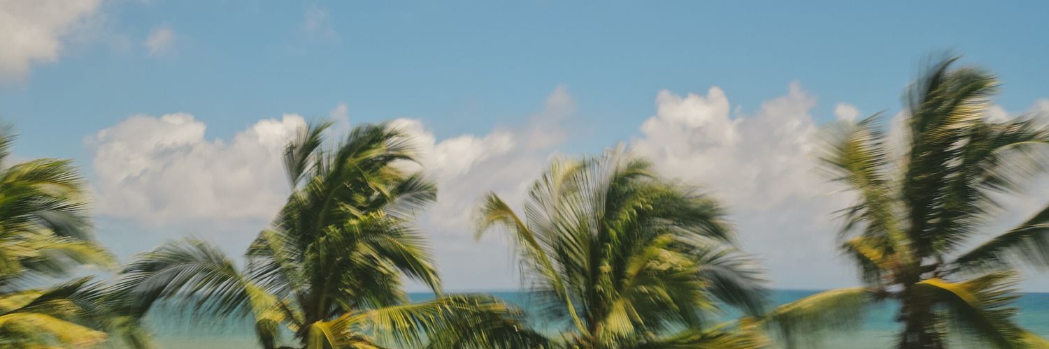 ericballadares's profile banner image