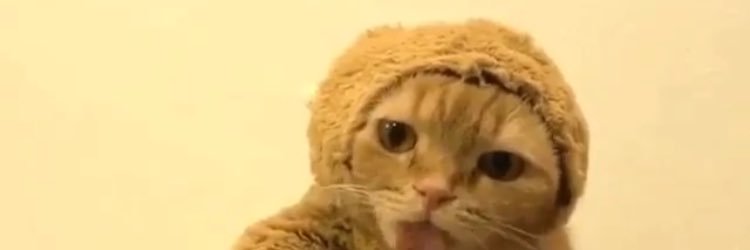 YEAR_WOOD's profile banner image