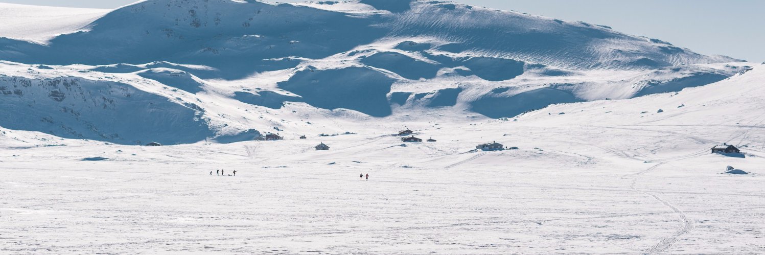 Simen Brekken banner