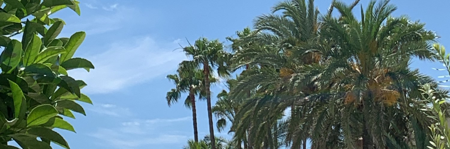 ethanforbesss's profile banner image