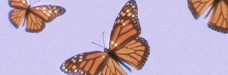 Cellinha_05's profile banner image