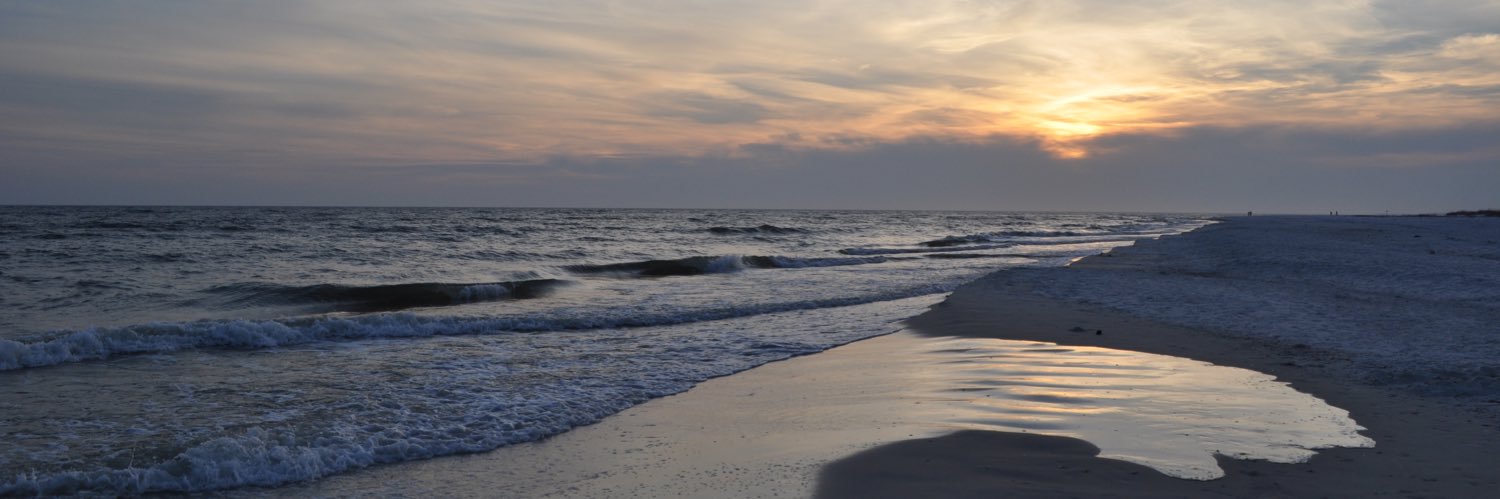 MirandaNHughes's profile banner image