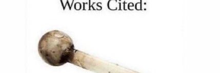 Chaseypoo banner