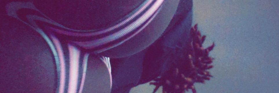 that1vdude's profile banner image