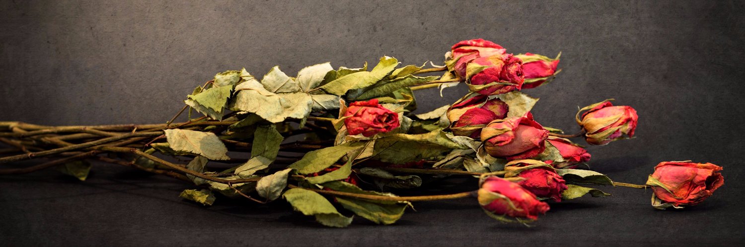 lolbachelor's profile banner image