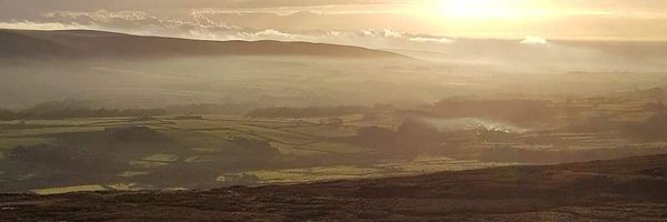 serenpacman Profile Banner