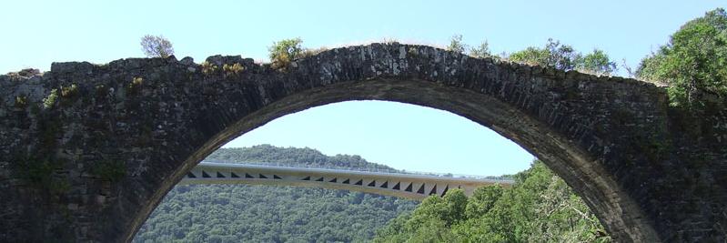 PjCaitucoli's profile banner image