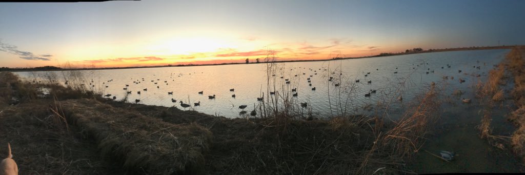 quackaddict34's profile banner image