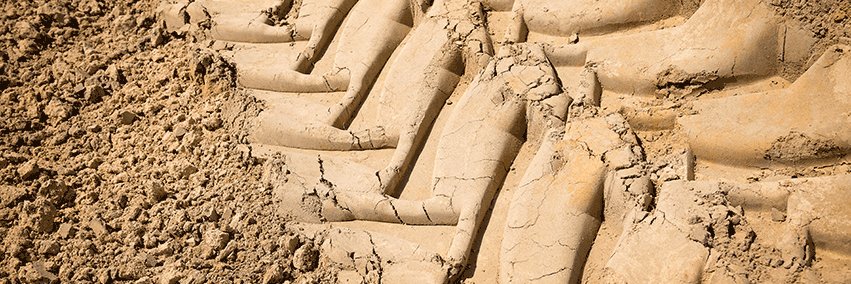 Project Plant banner