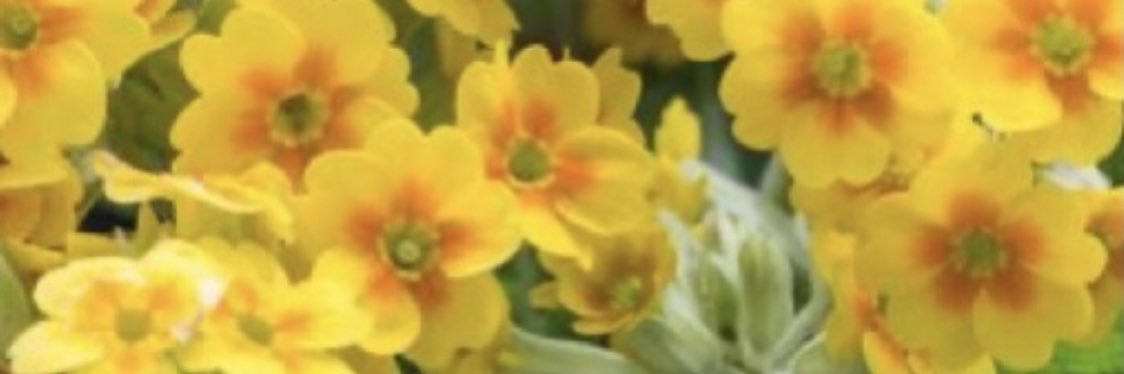 Belinda3B's profile banner image