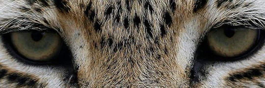 burcutftkk's profile banner image