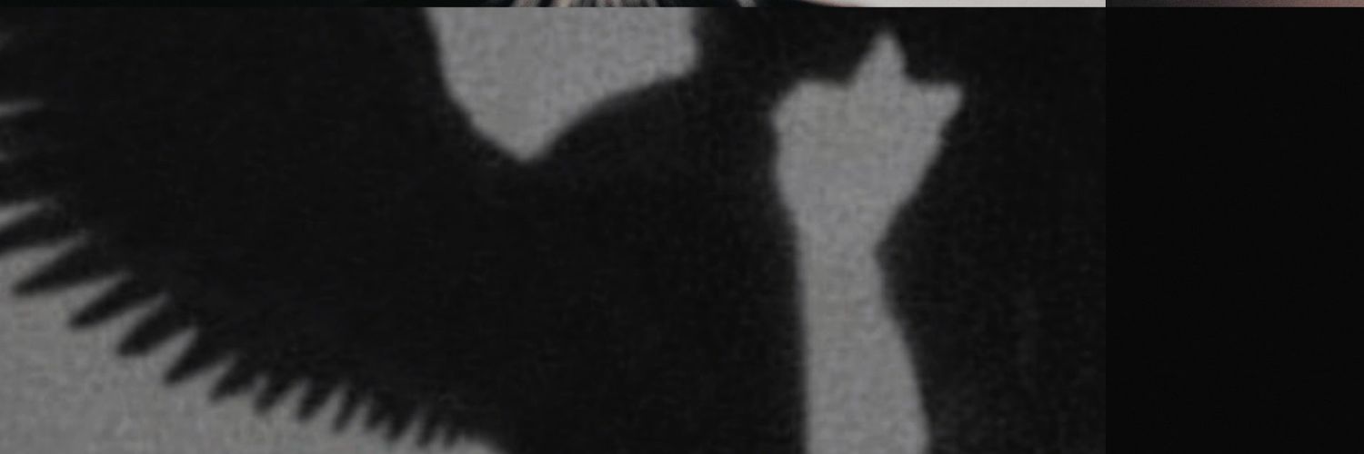 itsevenine's profile banner image
