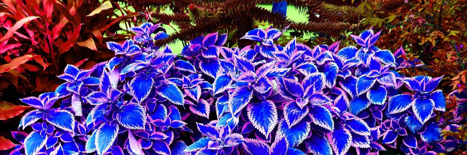 StrattonRandall's profile banner image