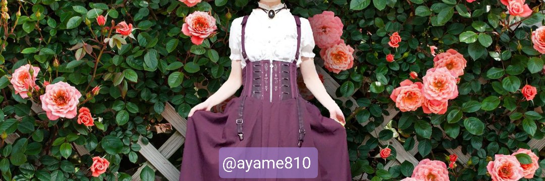 菖蒲【ayame】 banner