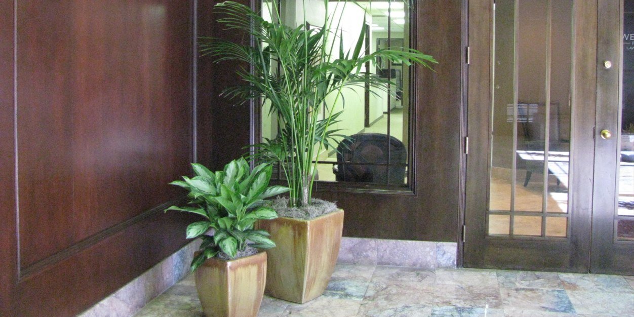 JustPlantDesign's profile banner image