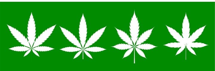 Just Another Stoner Gamer banner