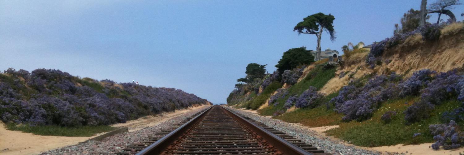 toripappas's profile banner image