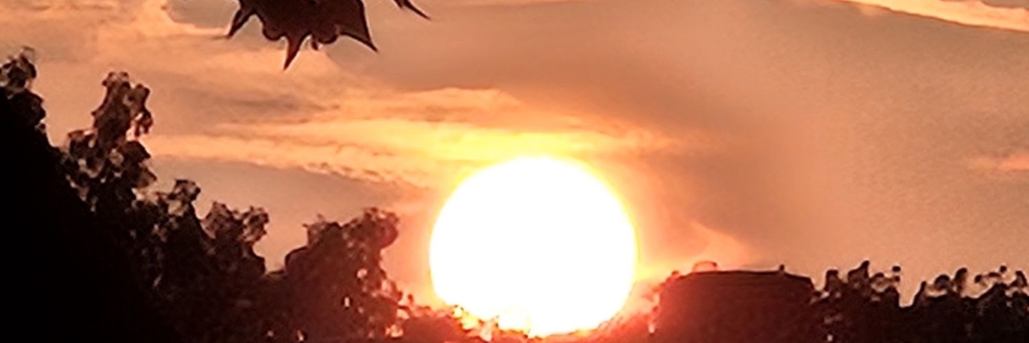 DaanVanEijk1978's profile banner image