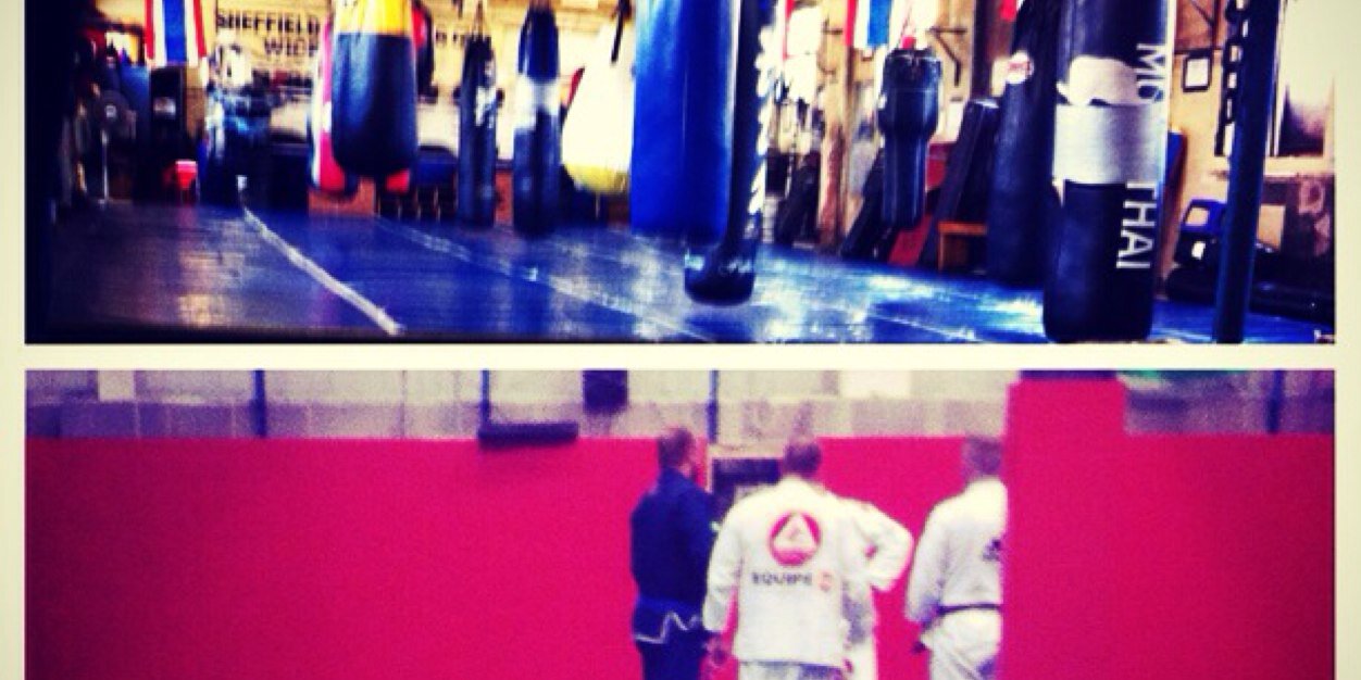 MWilliams_MMA's profile banner image