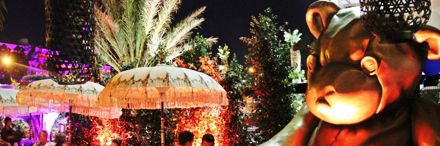 orsoibiza's profile banner image