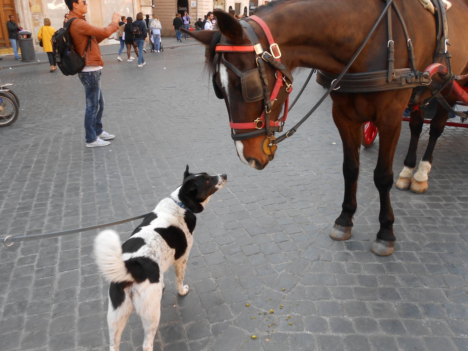 DEBOT Jacques banner