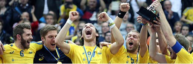 Robin Nilsberth banner