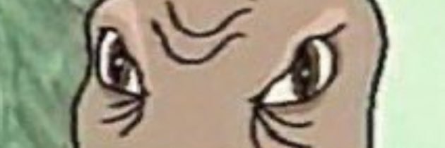 ZDPattsun's profile banner image