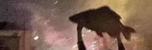 MaddehC's profile banner image