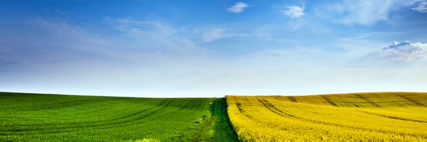 AgroTransfertRT Profile Banner
