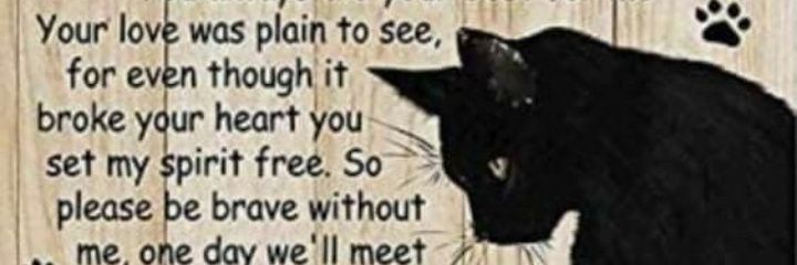 tracie_pullen's profile banner image