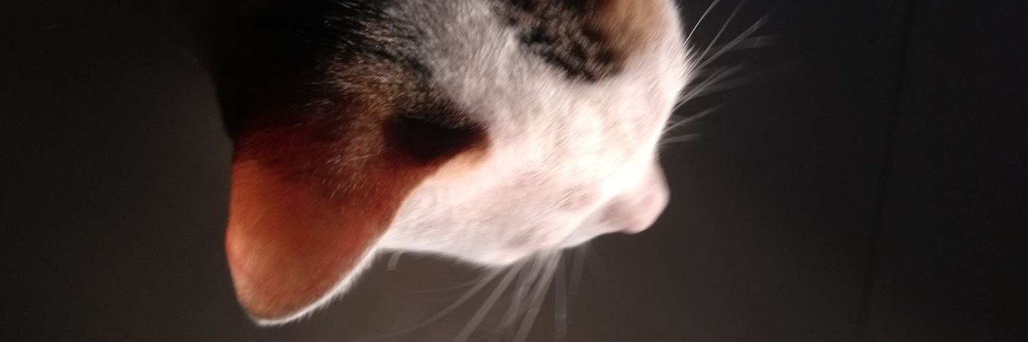 Shubhanshu Shukla banner