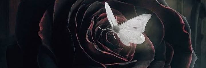M_Pradsal's profile banner image