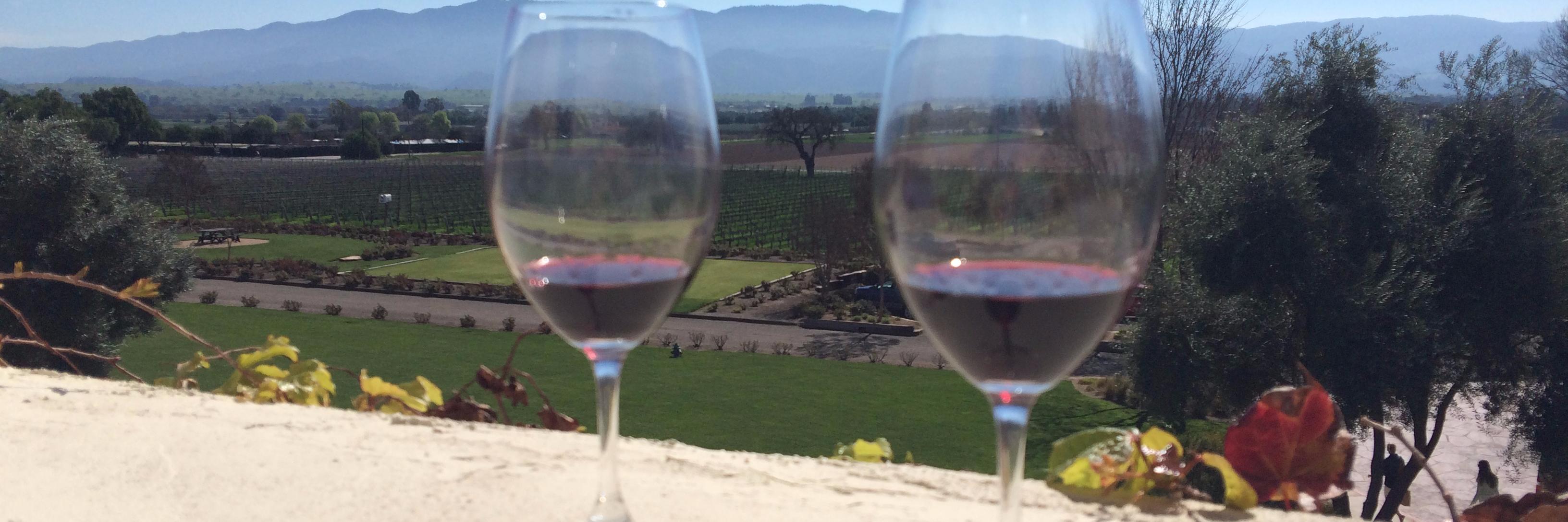 246winetours's profile banner image