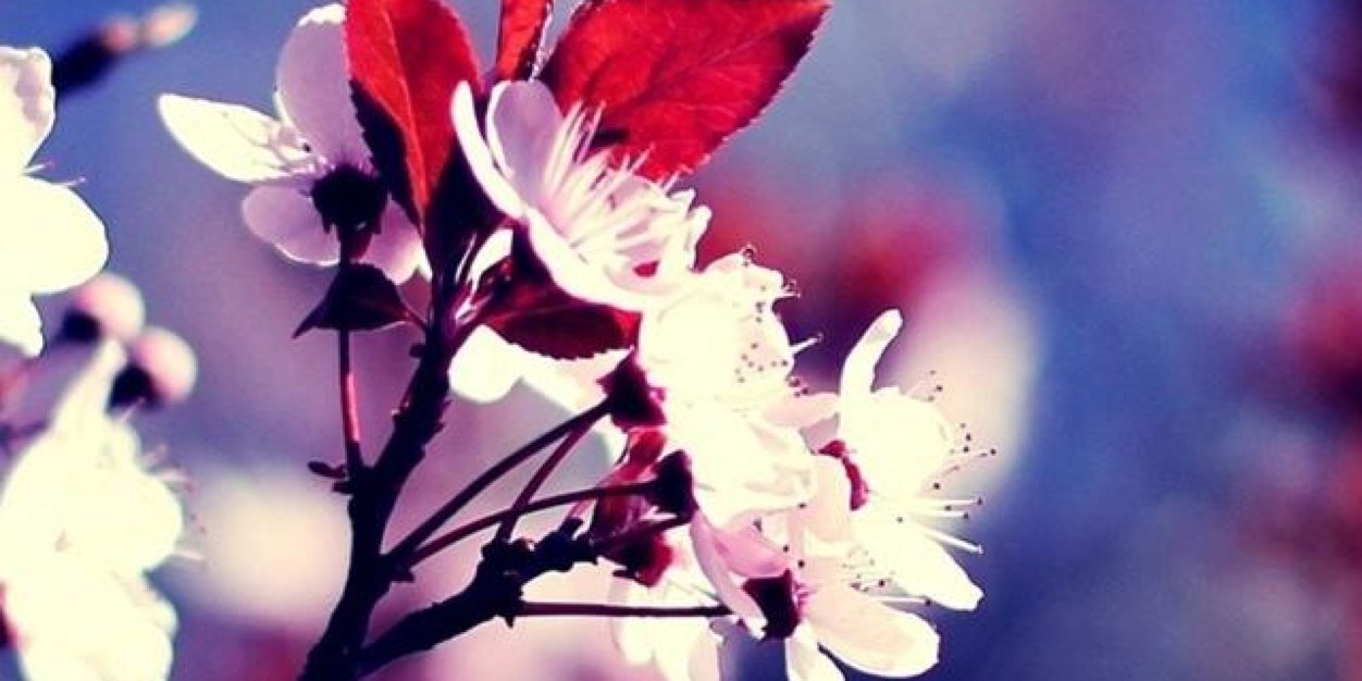 Jetset_Angel's profile banner image