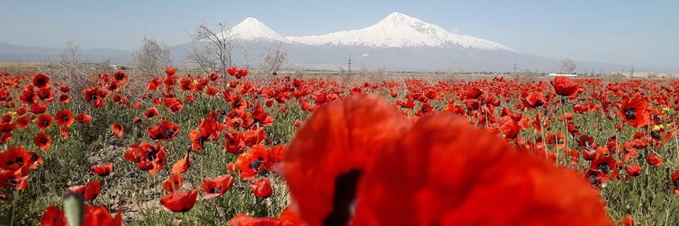 info_turk's profile banner image