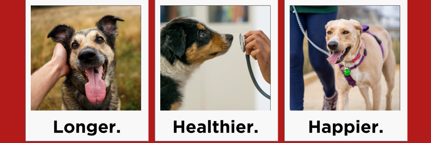 Cornell Riney Canine Health Center banner