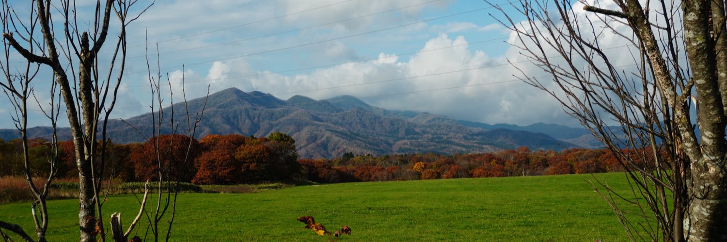 austfal's profile banner image