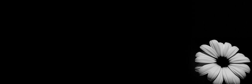 Simona Pandele banner