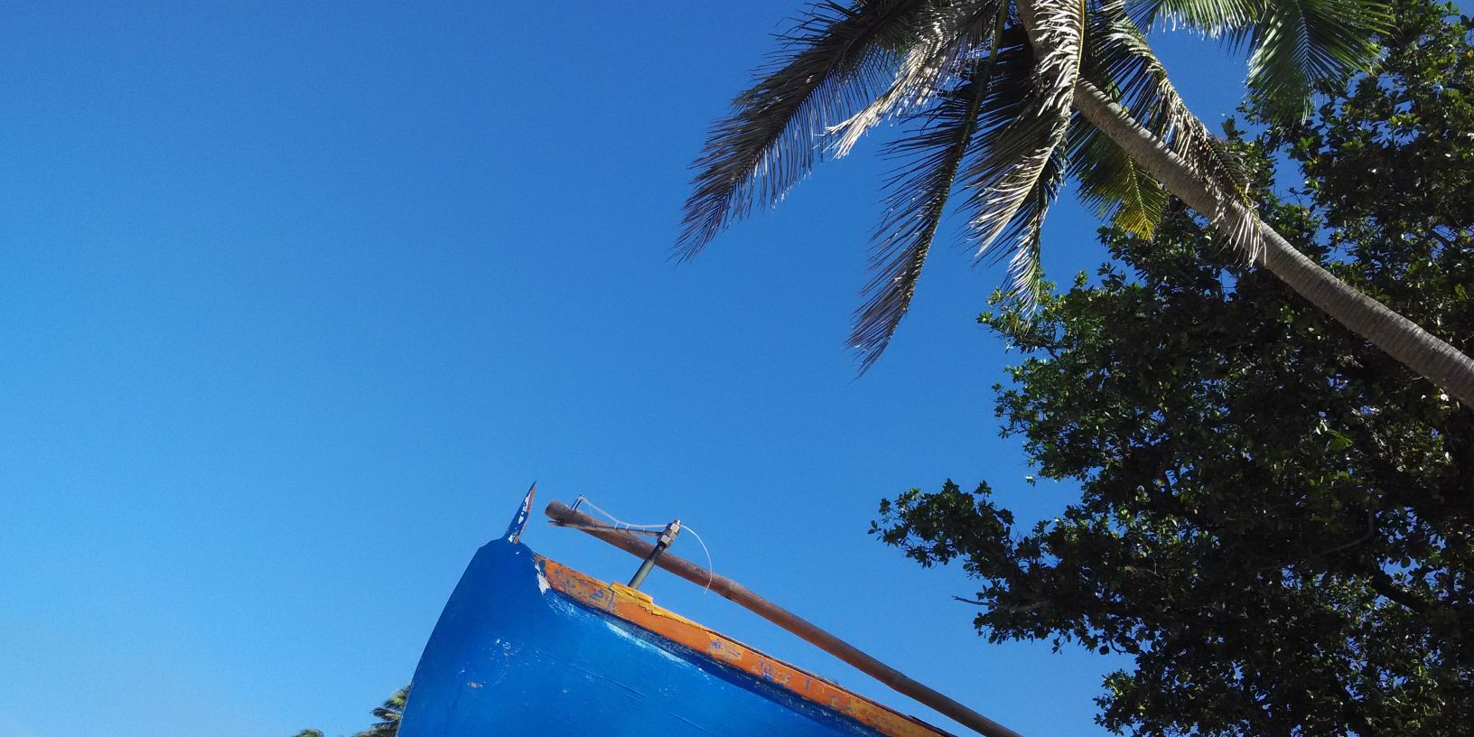 ohitsellesummer's profile banner image