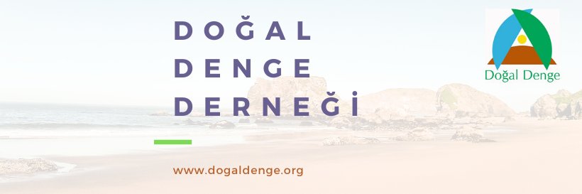 dogaldenged's profile banner image