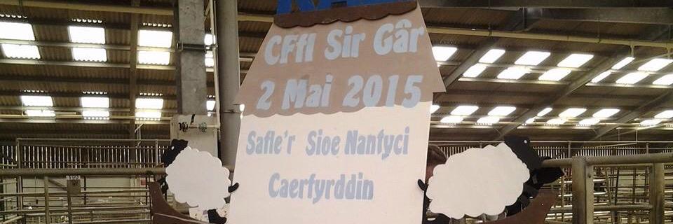 Cffi Llandeilo Yfc banner