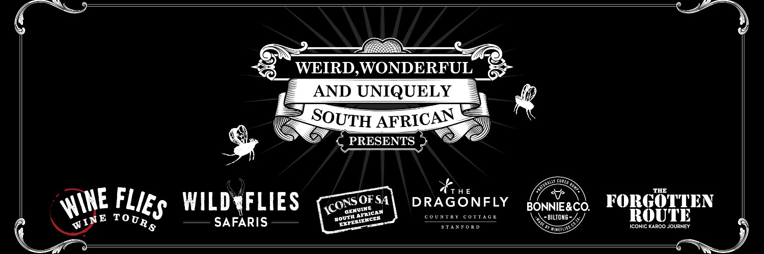Wine Flies Tours banner