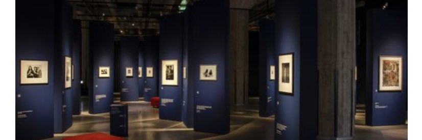 birgit donker banner