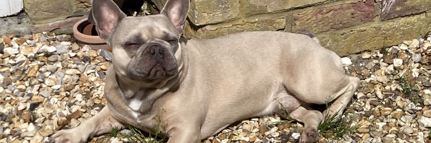 Victoria Darragh banner