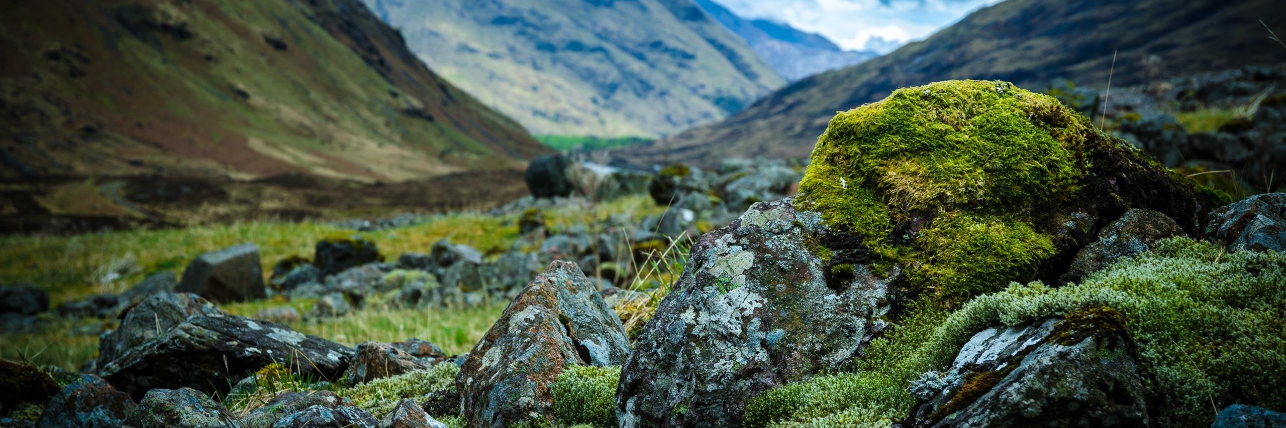 CEDScotland's profile banner image