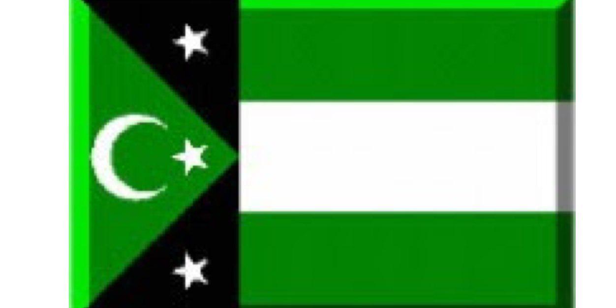 Black Turk banner